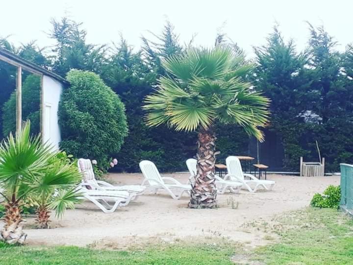 Hotel Del Valle Quilimari Pichidangui Eksteriør bilde