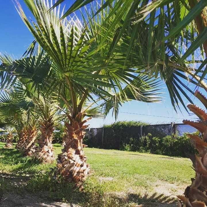 Hotel Del Valle Quilimari Pichidangui Eksteriør bilde